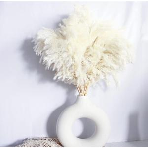 White Pampas Grass for Home Decor - Elegant Boho Decor - Premium Quality Pampas Grass Stems - Perfect for House, Nursery, Western, Wedding, Table, and Bohemian Decor (20PCS)