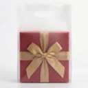 Merchandise Bags 100 Frosted Clear 9"x12" Size 1.5Mil Thick With Handles