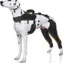 Dog Knee Brace for Torn Acl Hind Legs - Provides Joint Protection and Warmth, Upgraded Adjustable Leg and Hip, Dogs Rear Leg Wrap Harness Set for Leg Wound Care and Lick Prevention, L