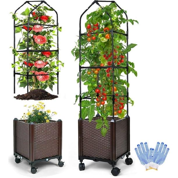 2Pack Raised Garden Bed with Tomato Planter Cage, 59" Self-Watering Tomato Planter with Trellis for Indoor Outdoor Patio Greenhouse Gardening Climbing Vegetable and Plants