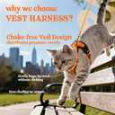 Rabbitgoo Cat Harness and Leash for Walking, Escape Proof Soft Adjustable Vest Harnesses for Cats, Easy Control Breathable Reflective Strips Jacket, Blue, M