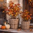 2 Pcs Fall Woven Basket Planter, Rattan Basket, Autumn Wicker, 10, 8''