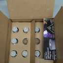 Air Wick Scented Oils 0+10 Sweetgrass & Sandalwood