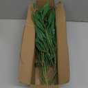 Ttranewsoo Faux Plants Olive Leaves Stems Artificial Plants Olive Tree Branches for Small Vase Tabletop Greenery Decor for Home Decor Office Wedding Party 19.6 4pcs