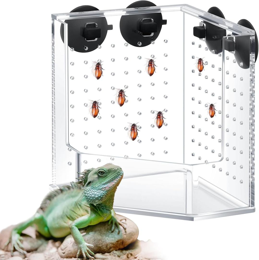 Weysat Reptile Corner Hunting Bowl, Transparent Acrylic Reptile Feeder Box with 4 Suction Cups, Tank and Aquarium Accessories for Lizard Bearded Dragon Chameleon Gecko Frog, 3.9 x 3.9 x 6.1 Inches