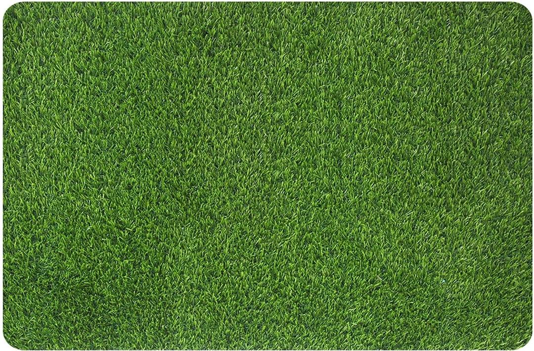 MAYSHINE Artificial Grass Door Mat - for Entryway Indoor/Outdoor Green Turf Rug, Perfect for Dog Potty Training and Multi-Purpose Use 35x24 Inches