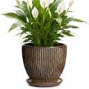 Ceramic Planter, 8 Inch Plant Pots for Indoor Plants, Round Planter with Drainage Hole and Saucer, Modern Decorative Flower Pots, House Office Decor, Gifts for Plant Lovers, Retro Brown