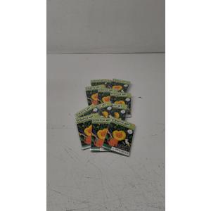 Pack Of 12 Scratch Art Pads