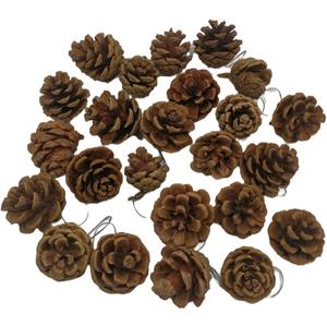 24 Pieces Christmas Pine Cones Ornament Natural Pine Cones with String Pendant Crafts for Gift Tag Christmas Tree Party Hanging Decoration Home Decorations
