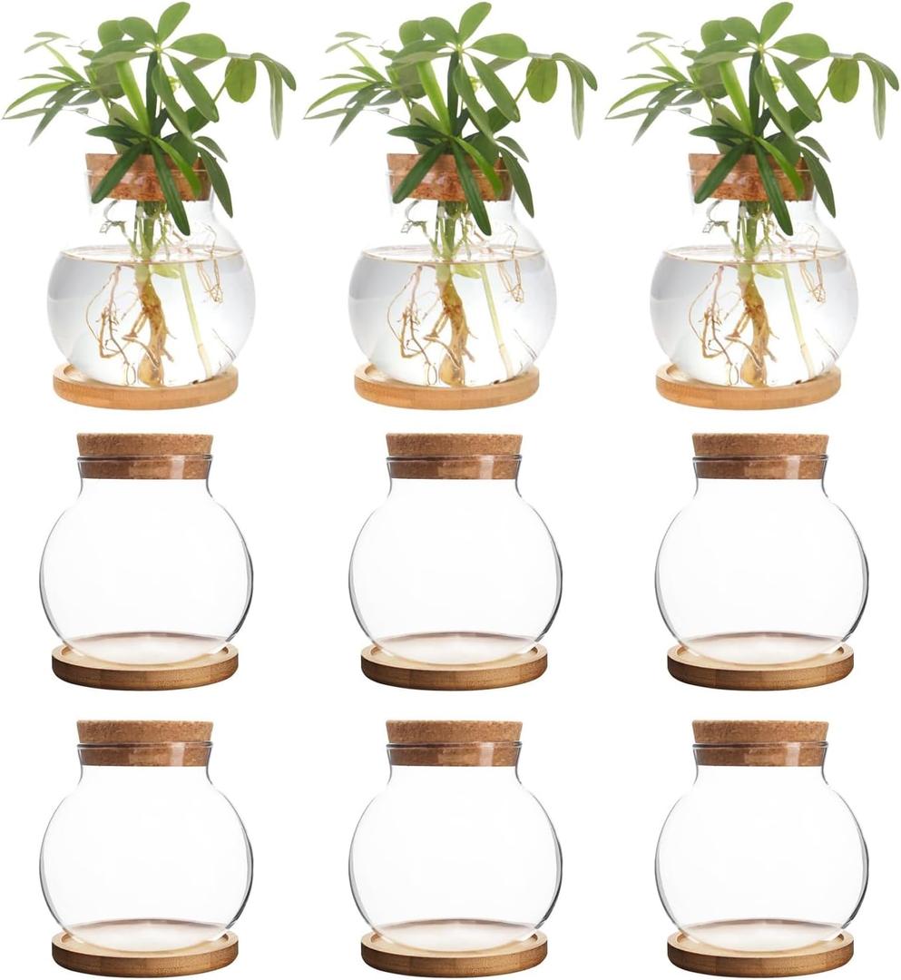 Plant Propagation Station,Hydroponic Glass Container Vase Jars, with Wooden Saucer for Desks, Houses, Garden Decorations, Home Kitchen Decorations and Gifts for Plant Lovers (9)