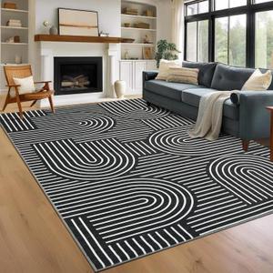 ROYHOME Washable Rug 10x13 Area Rugs for Living Room, Abstract Rug for Bedroom, Soft Rainbow Rugs with Rubber Back, Low Pile Stain Resistant Boho Geometric Rug for Dining Room, Black
