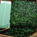 AOKIE 10"X10" Artificial Grass Wall, 24Pcs Boxwood Hedge Wall Panels UV-Anti Grass Backdrop Wall Decor, Greenery Privacy Hedge Screen for Indoor Outdoor Patio Balcony, Party Garden Fence Decor
