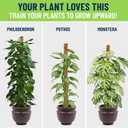 2 x Plant Sticks Support Tall Large Moss Pole Monstera Plant Support 48 Inch (1 Pack), Bendable Tall Moss Pole for Plants, Indoor Climbing Pole, Easy to Shape and Use