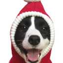 Christmas Dog Hat Costume for Large Medium Dog Warm Winter Dog Hat Neck Ear Warmer Headband Protector for Golden Retriever Labrador(Small, Red)