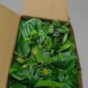 Der Rose 6 Pack Fake Plants Small Artificial Potted Plants Faux Plants for Home Office Desk Bathroom Aesthetic Farmhouse Room Decor Indoor (White)