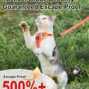 Cat Harness and Leash for Walking Escape Proof Soft Adjustable Cat Leash Breathable Comfortable Vest Easy to Wear Kitten Harness for Outdoor Travel (Orange, S (7-12lb))