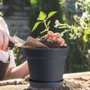 homenote Pots for Plants, 8 Pcs 7.5 Inch Plastic Planters with Multiple Drainage Holes and Tray - Plant Pots for All Home Garden Flowers Succulents, Matte Black