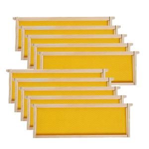 MayBee Medium Super Beehive Frames with Wax Foundations, 10 Pack Honey Bee Frames with 100% Beeswax Coated Food Grade Foundation Sheets, 6-1/4-Inch (Yellow)