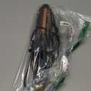 Nimmu Thermal Brush for Blowout Look, 1.5 inch Heated Round Brush, Curling Iron with 10 Temperature Control, Hot Styler Dual Voltage for Travel, Black Gold