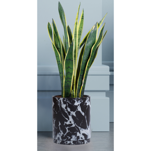 GJCR products 10 Inch Round Ceramic Planter with Tray, Black Marble Finish, Indoor Plant Pot with Drainage Mesh and Scratch Pad Black