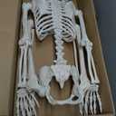 Crazy Bonez Original Pose-N-Stay Halloween Skeleton, 5 FT  Life-Size, Realistic, Fully Poseable Indoor & Outdoor Decoration, Durable Plastic Spooky Prop for Yard, Porch, Haunted House