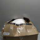 Oubonun 18 x 18 Throw Pillow Inserts, Firm and Fluffy Decorative Square Pillows for Couch Bed Sofa with Soft Cotton Cover White Cushion with Down Alternative Pack of 2