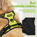 Rabbitgoo Dog Harness No Pull with 2 Leash Clips, Adjustable Soft Padded, Reflective Oxford No Choke Pet Vest with Easy Control Handle for Large Dogs, Green, XL