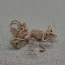 JOYIN 2 PCS Rats Skeleton Halloween Decoration 11 Inch Long Small Animal Skeleton Plastic Mouse Bones for Yard Garden Lawn Patio Graveyard Haunted House Halloween Party Favors Decor