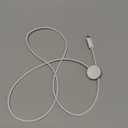 Apple Watch Magnetic Fast Charger to USB-C Cable (1 m)