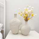 Modern Flower Vases Set of 2 - Decorative Vases for Home Decor - White Vase Accent for Living Room, Kitchen & Table Centerpiece - Minimalist Neutral Decoration C01DV601