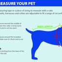 Pets First NHL New York Rangers Jersey for Dogs & Cats, X-Large. - Let Your Pet Be A Real NHL Fan!