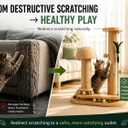 PurrTracks Dual-Track Cat Scratcher with Feather Toy