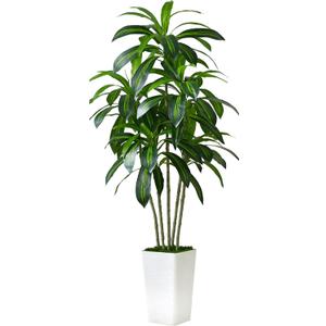 Artificial Dracaena Tree Artificial Silk Tree Faux Tree with White Tall Planter Fake Tropical Yucca Floor Plant (1, White Tall Planter, 6 FT)