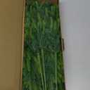 12 Pcs Christmas Norfolk Pine Branches Realistic, Real Touch Norfolk Pine Stems, 18 Inch Real Feel Norfolk Pine Branches for DIY Crafts Garland Wreath Xmas Indoor Outdoor Home Decor