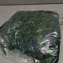 XunYee 84 Pcs Artificial Jungle Vines Tropical Leaf Garland and Monstera Palm Leaves Jungle Decoration Set, Fake Ivy Vines Green Greenery Faux Leaves for Baby Shower Safari Tropical Party Decoration