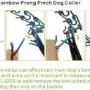 ChampWei No Pull Dog Collar Dog Training Collar for Small Medium Large Dogs (Rainbow Color, M)
