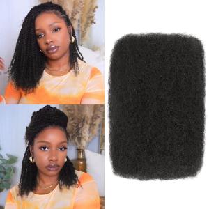 Afro Kinkys Bulk Human Hair 2 Bundles 16 Inch 50g/Pack - Afro Kinky-Curly Human Hair Bulk For Mini Twist, Dreadlocks Extensions, Locs Repair & Braiding, 100% Human Hair Natural Black.