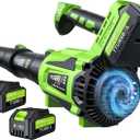 Leaf Blower Cordless - 650CFM Brushless Motor Leaf Blower with 6-Speed Control & Ergonomic Handle - Includes 2 x 5.0Ah Batteries & Fast Charger - Blowers for Lawn Care, Yard, Patio, Leaves, Snow, Dust (Green)