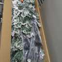 Krist+ Christmas Tree, Estndar, Multicolor