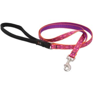 LupinePet Originals 1/2" Alpen Glow 6-foot Padded Handle Leash for Small Pets