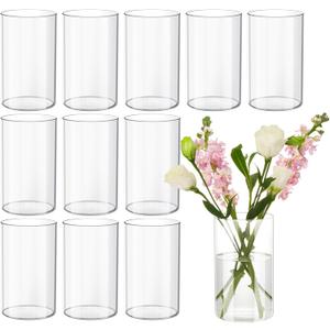 12Pcs Glass Cylinder vases for Centerpieces, 6 Inches Tall Flower Vases Wedding Decorations,Bulk Cylinder Flower& Plant Vases,Hurricane Candle Holder for Table Shelf, Party.