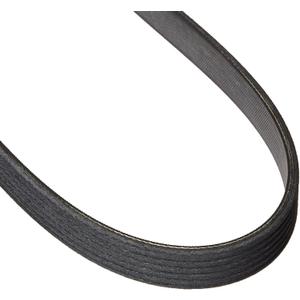 Motorcraft - V-Belt (P) (JK61004B)