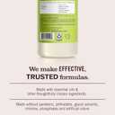 MRS. MEYER'S CLEAN DAY Multi-Surface Everyday Concentrate, Lemon Verbena Scent, 32 Fl Oz Bottle - 2 Pack