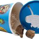 Praying Mantis Egg Case With Hatching Habitat Cup- 2 Praying Mantids Egg Cases