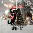 2 Pcs Cat Christmas Ornaments 2025, Black Cat Christmas Decor for Christmas Tree, Gifts for Pet Lovers Women, Acrylic Keepsake Funny Kitten Hanging Ornaments, Kitty Holiday Xmas Stockings CB-17