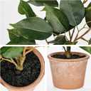 Fake Plant 13" Small Artificial Ficus Plant Faux Ficus Plants Banyan Tree with Rustic Terracotta Pot Silk Plants for Home Decor Indoor Office Living Room Bedroom Shelf Table Centerpieces