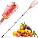 13 FT Adjustable Fruit Picker Pole with Basket – Lightweight Stainless Steel Picking Tool for Apples, Mangoes, Avocados, Oranges & More