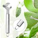 3 x 2pcs Manual Cactus Peeler Spoon, Stainless Steel Spoon Shape Cutter with Long Handle Multi-Function Cactus Cutting Tool for Carrot Potato Vegetables