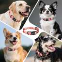 2 x Kazazoo Dog Collar Cute and Soft Nylon Puppy Collar Girl, Adjustable Dog Collars for Medium Large Dogs, Sweet Heart-L