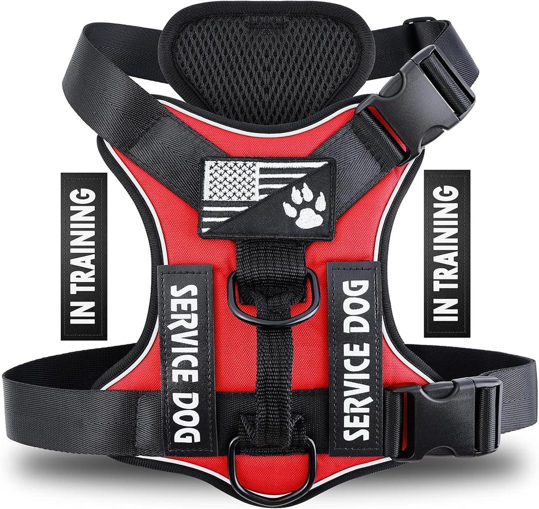 Demigreat Service Dog Harness, Reflective Dog Vest Harness with 5 PCS Patches, Adjustable Soft Oxford Pet Harness, Inner Layer Mesh, Easy to Control for Dogs (X-Small (Pack of 1), Red)